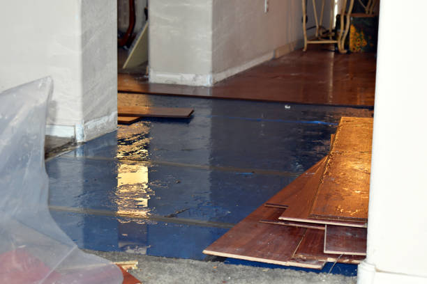 Professional Basement Flood Cleanup technician working in Marietta, OH
